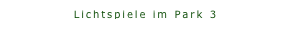 Lichtspiele im Park 3