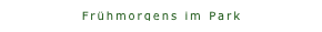Frühmorgens im Park